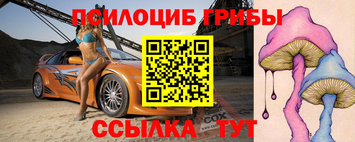 Галлюциногенные грибы GOLDEN TEACHER Елизово