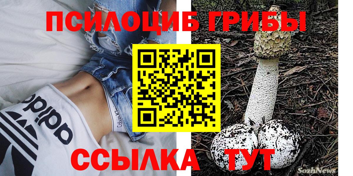 Елизово  Галлюциногенные грибы Magic Shrooms  Вход с VPN 
